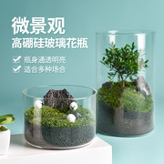 高硼硅玻璃花瓶桌面微景观生态瓶，水培植物罐客厅装饰玻璃缸大花瓶
