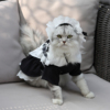 猫咪女仆装制服秋冬可爱猫衣服猫裙子搞怪布偶衣服宠物防掉毛服饰