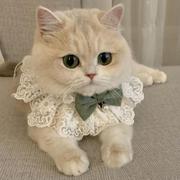 猫咪衣服秋装薄款布偶猫幼猫奶猫小猫裙子公主裙猫猫圣诞围脖项圈