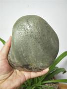 和田玉籽料原石1.1公斤新疆青白青花青玉籽玉原皮色真皮天然玉石