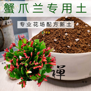 蟹爪兰专用土多肉土壤盆栽花卉培养土弱酸性花泥通用型营养土
