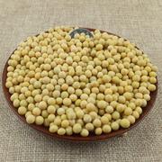 东北小粒黄豆690发生豆芽纳豆打豆浆5斤海伦农家自种非转基因