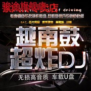 越南鼓dj车载U盘重低音嗨曲炸街歌曲无失真高音质车用音乐USB