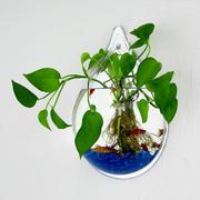 养花玻璃瓶水培创意绿萝绿植，花盆挂墙器皿，大号简约壁挂玻璃花瓶