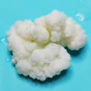 开菲尔菌种非雪莲藏灵菇自制酸奶发酵豆浆椰浆大颗粒母种不用