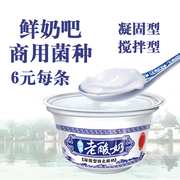 固体酸奶液体手工酸奶 通用型菌种商用奶吧菌种老酸奶发酵粉辅料