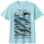 鲸类短袖t恤手绘海洋馆动物生物鲸鱼海豚科目，亲子装纯棉染印夏季