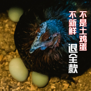 青城山土鸡蛋农家散养新鲜无菌，蛋乌鸡蛋孕妇食用绿壳蛋正宗草鸡蛋