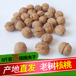 山西老树核桃老品种厚皮干核桃，孕妇零食原味，山核桃非纸皮薄皮核桃