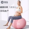 瑜伽球儿童感统训练大龙球孕妇专用助产按摩加厚防爆健身平衡球
