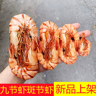 年货九节虾虾干大号特大竹节虾，即食500g斑节虾，对干虾烤虾海鲜干货