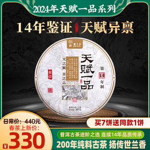 书呆子春茶2024年天赋，一品景迈普洱茶生茶，茶叶茶饼古树茶七子