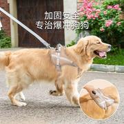 遛狗牵引绳拉布拉多栓猫阿拉斯加狗链萨摩幼犬外出可爱训练雪纳瑞
