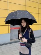 超强防紫外线遮阳伞雨伞拱形，公主伞摺叠黑胶遮阳伞，防晒晴雨两用伞