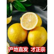 四川安岳柠檬新鲜皮薄，一级新鲜水果当季整箱，同城黄柠檬酸