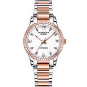  冠琴时尚钢带女士手表机械瑞士简约全自动夜光精钢国产腕表