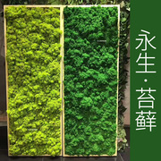 永生苔藓背景墙仿真植物，假青苔造景diy画鹿角，永生花定绿植装饰花