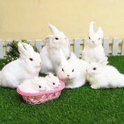 仿真兔子大小白兔毛绒玩具公仔，兔田园摆件，动物拍摄道具动物模型