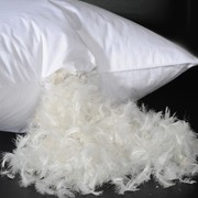 kp30五星级酒店宾馆羽绒枕白鸭绒，鹅羽毛枕芯枕头柔软枕头单人