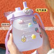 水杯大肚杯吸管杯子女夏季大容量塑料运动抱婴袋可携式水壶20