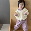 男童撞色抓绒套装韩版休闲两件套女宝宝粉紫加厚秋装婴儿加绒卫衣