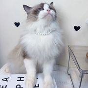 猫咪小型犬高贵珍珠项圈饰品原创手工制作可爱脖圈可调节精美项链