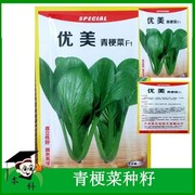 蔬菜种籽优美青菜孑种青梗菜种子油菜种子不束腰小油菜种子小白菜