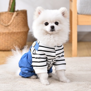 小狗狗衣服夏季背带裤泰迪，比熊博美雪纳瑞，小型犬薄款可牵引四脚衣