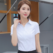 夏季女式短袖衬衫白色斜条纹不透高棉V领工装修身半袖工作服寸衫