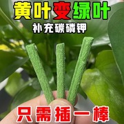 德国慕尼黑懒人氮磷钾，盆栽花卉肥料，通用家庭园艺缓释片营养液