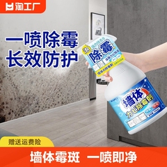 墙体除霉剂去霉斑霉菌清洁剂