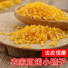 东北小碴子新米细玉米渣碎玉米粒棒子糁苞米茬5斤黑龙江东北