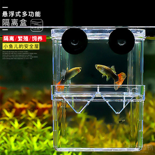 鱼缸孵化隔离盒保护小鱼热带鱼小型鱼孔雀多功能悬浮式透明迷你型