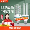 led灯泡u型节能玉米，灯e27螺口，台灯灯管5w8w超亮日光灯螺旋照明