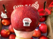 新西兰进口爱妃苹果美国新鲜水果个大又脆又甜红玫瑰孕期水果