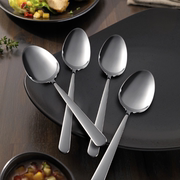 德国双立人勺子套装304不锈钢咖啡，勺家用西餐小勺，轻奢儿童勺餐具