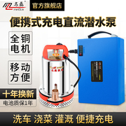 名磊充电式直流潜水泵，12v24v48v充电水泵便携式家用抽水小抽水机