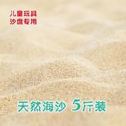 海沙天然细沙儿童玩具沙滩沙子鱼缸造景细沙子天然沙乌龟专用冬