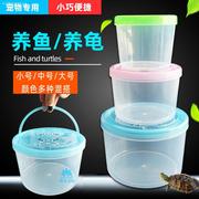 大号鱼瓶龟瓶手提龟缸塑料乌龟缸透明宠物饲养盒子小金鱼缸运输盒