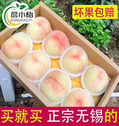 正宗无锡阳山水蜜桃6两以上8个超大软桃脆甜多汁礼盒装白凤湖景桃