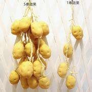 仿真蔬菜土豆马铃薯挂串水果串丰收节幼儿园农装饰拍摄影道具定制