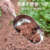 户外园艺不锈钢铲子铁锹铲勺土，家用种菜养花挖土工具多肉种植花铲