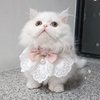 宠物猫咪衣服春装夏装，仙女布偶猫夏季小猫幼猫夏天裙子装饰品装扮