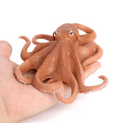 仿真海洋动物模型儿童玩具鱿鱼章鱼乌贼实心塑料怪兽宝宝早教认知