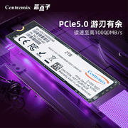 芯点子 C1000 2T PCIe5.0 M.2笔记本电脑台式机SSD m2固态硬盘2TB