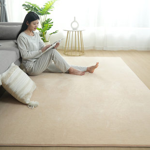 地毯纯色客厅茶几毯加厚主卧地垫，大面积全铺房间高级感卧室床边毯