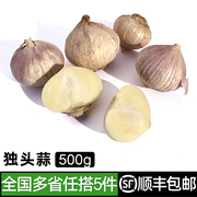 独头蒜500g 云南大蒜独头干大蒜头独蒜生吃烹饪香料 5件