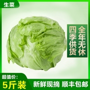 球生菜新鲜蔬菜汉堡 即食生菜沙拉食材生吃圆形生菜5斤2斤3斤装