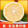 四川安岳黄柠檬新鲜水果皮薄当季整箱香水酸甜柠檬特产1斤装