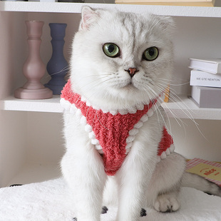 小猫咪秋冬季衣服德文猫条纹，毛绒棉衣韩系保暖背心居家舒适两脚衣